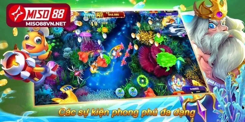 Lý do khiến Miso88 nổi bật hơn cả