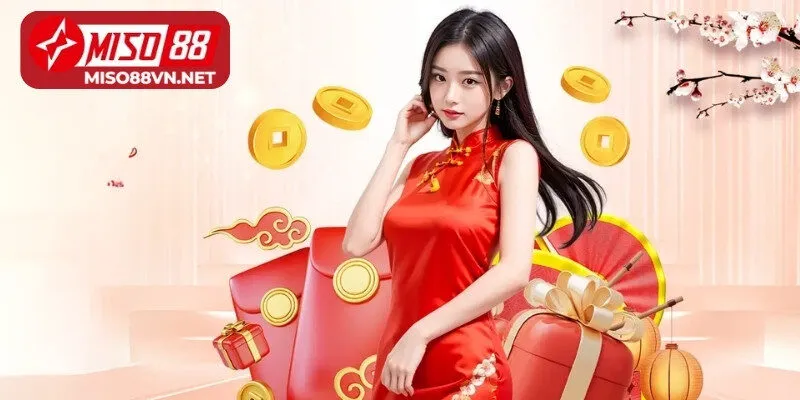 Giới thiệu về đại lý Miso88