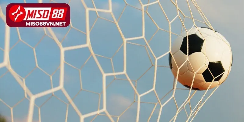 Kinh nghiệm tham gia cá cược